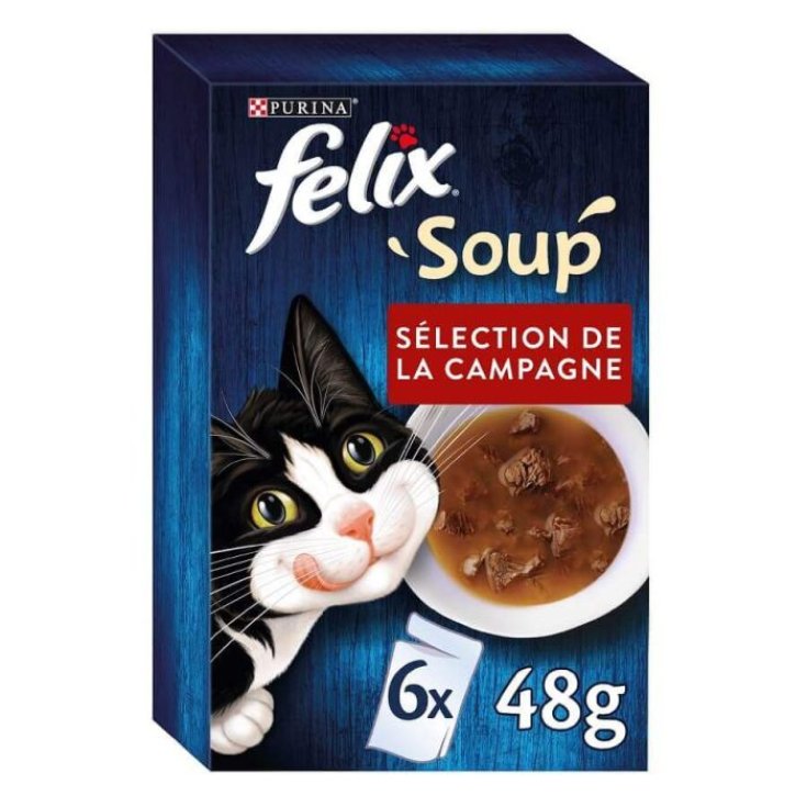 SOUPE FELIX BOEUF 48G