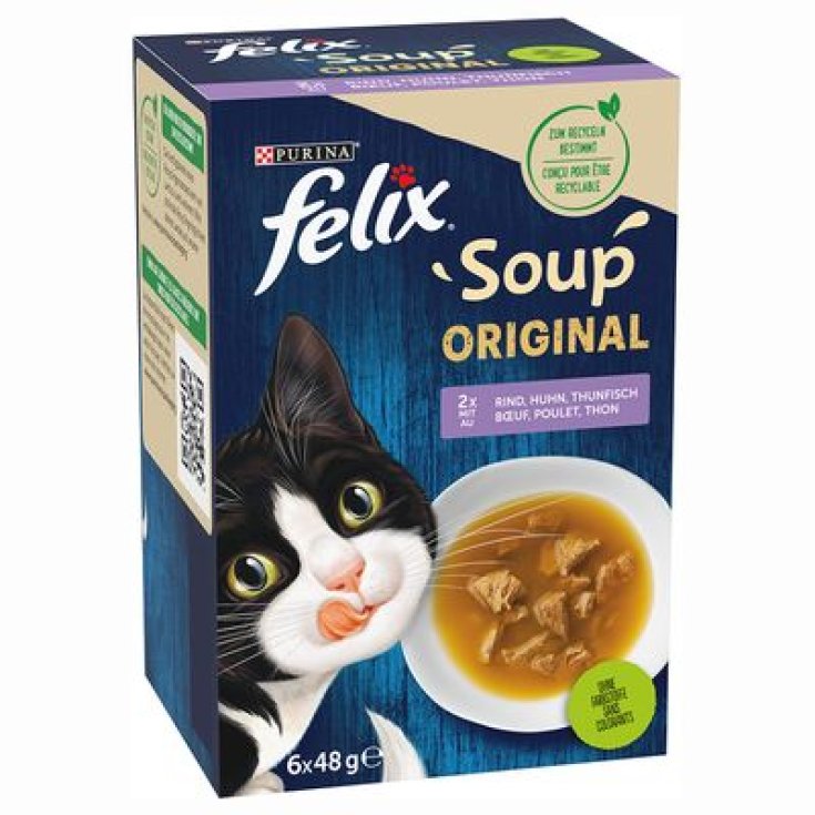 SOUPE FELIX THON 48G