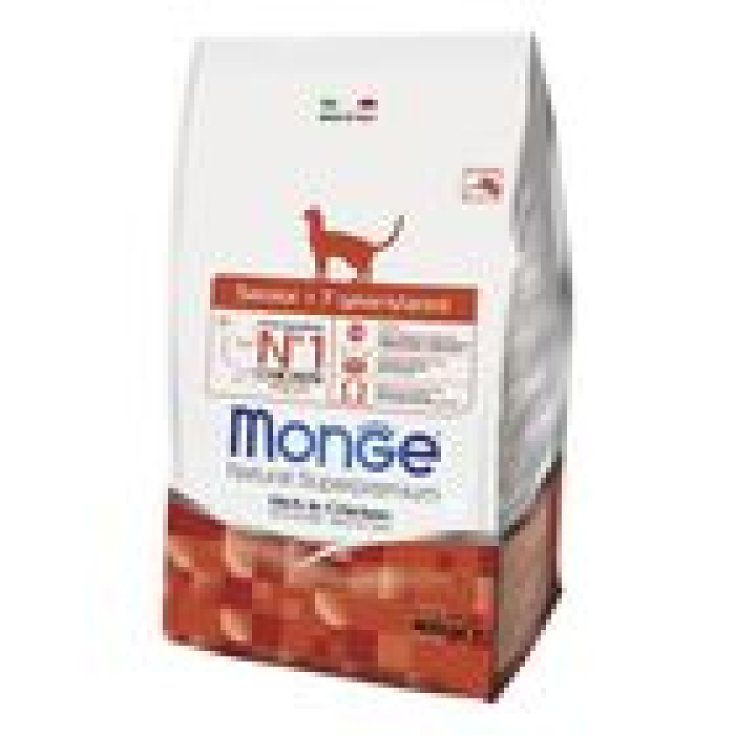 MONGE CHAT SÉNIOR 400G