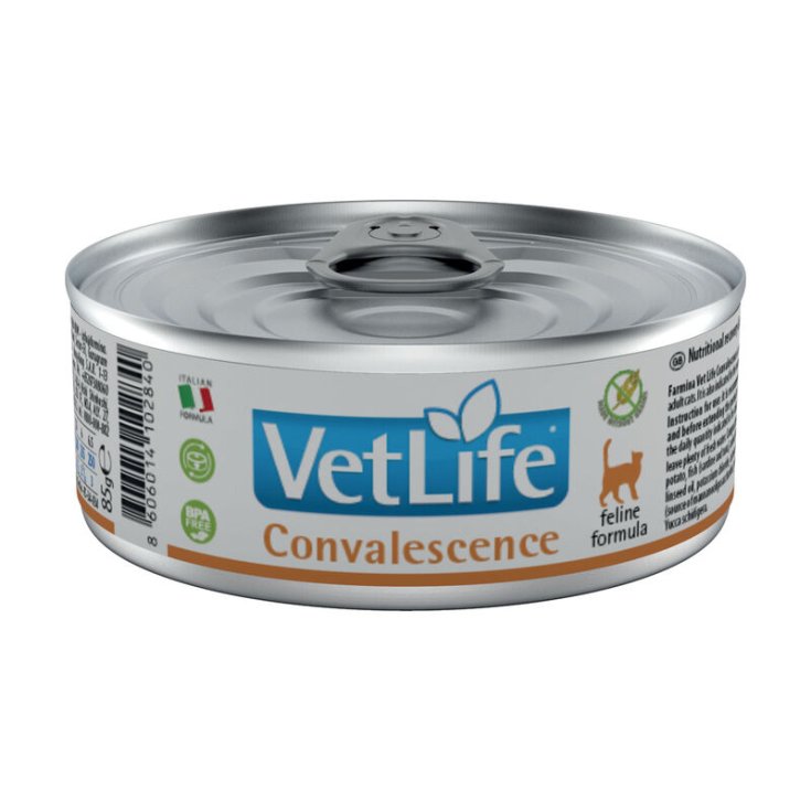 VET LIFE CHAT CONVALESCENCE 85G