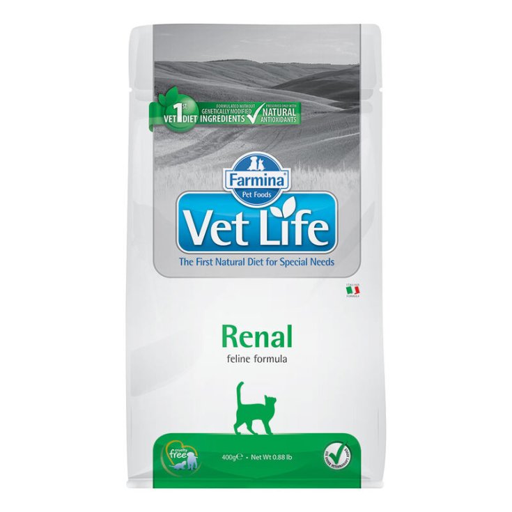 VET LIFE NAT FEL RÉNAL 400G