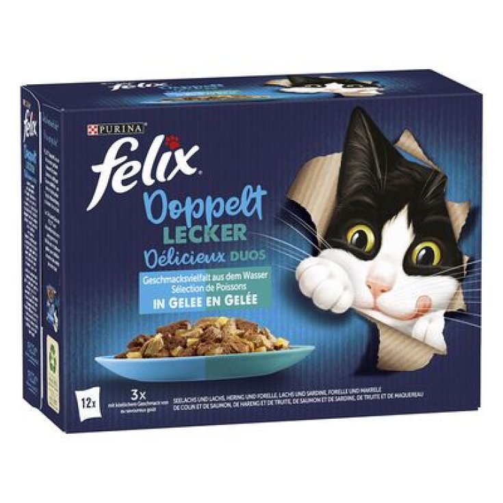 FELIX LE GHIOTT POISSON SEL 85G