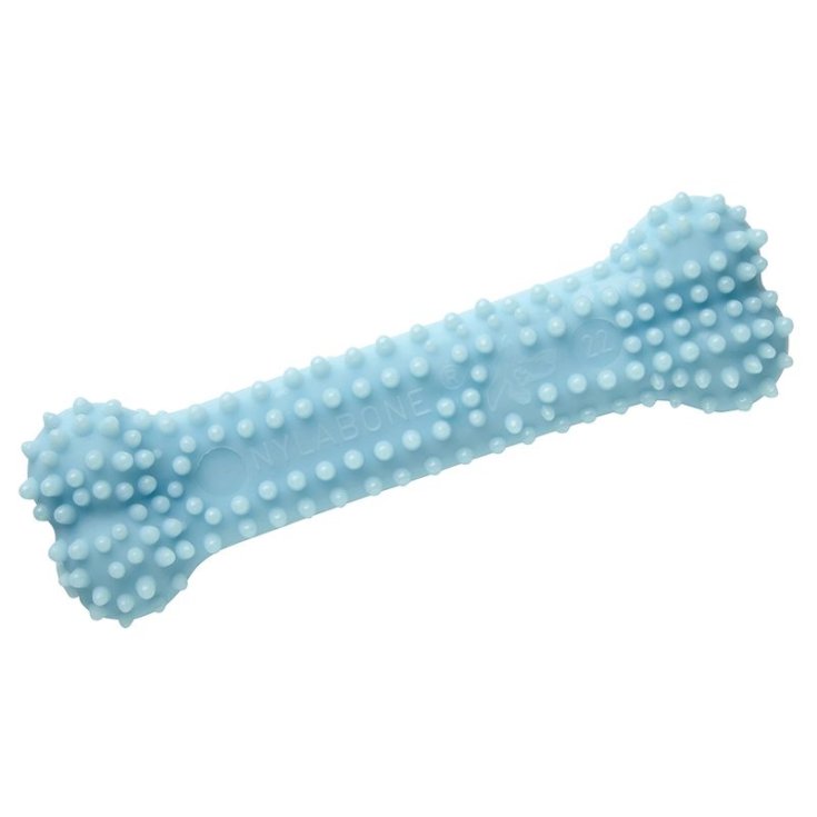 NYALBONE CHIOT DENTITION X-PETIT