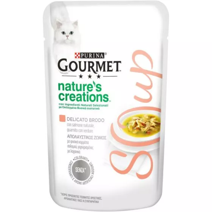 SOUPE GOURMANDE NC SAUMON&VER40G