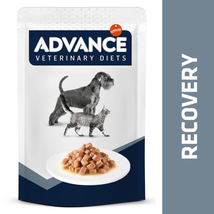 ADVANCE CHIEN ET CHAT BST RÉCUPÉRATION 100 GR