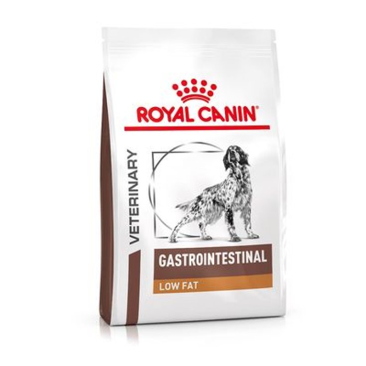 VETERINAIRE DC SEC GASTR FAIBLE 6K