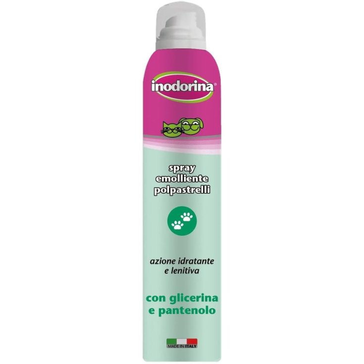 INODORINA SPRAY FINITIONS 200ML