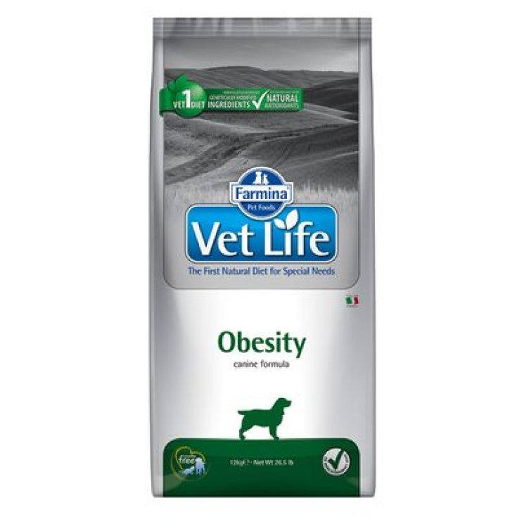 VET LIFE NAT CAN OBÉSITÉ 12KG