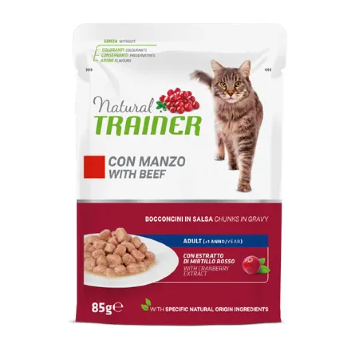 CHATS D'ENTRETIEN AU BOEUF 85G