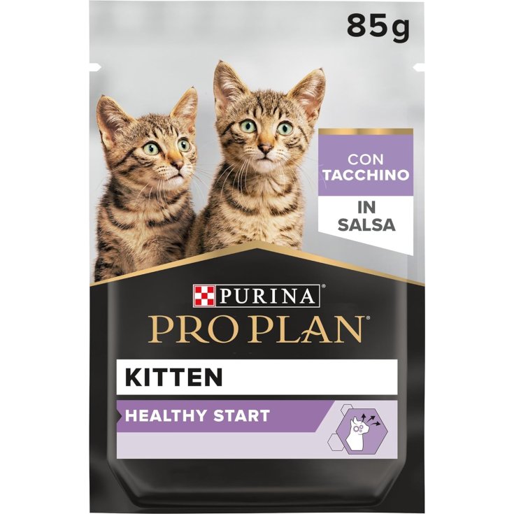 CHATON PP MPK AVEC DINDE EN TERRINE
