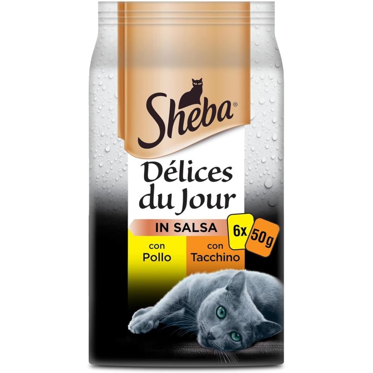 NATUA CAT MULTIPACK 6X50GR POULET