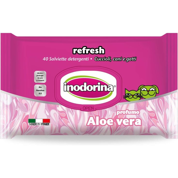 LINGETTES INODORINA RÉF ALOE VERA 110PCS