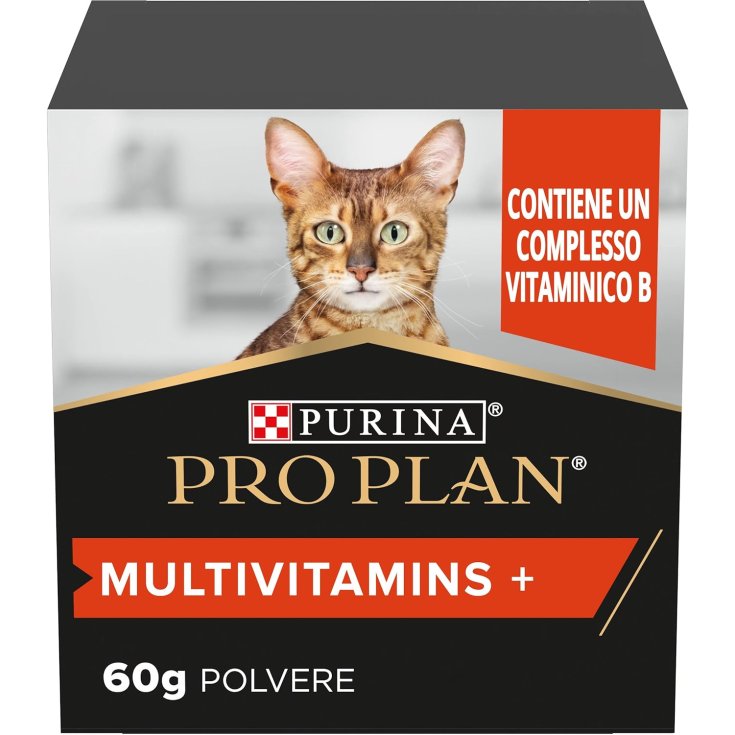 NP DETOX CHAT SÉNIOR 2 KG