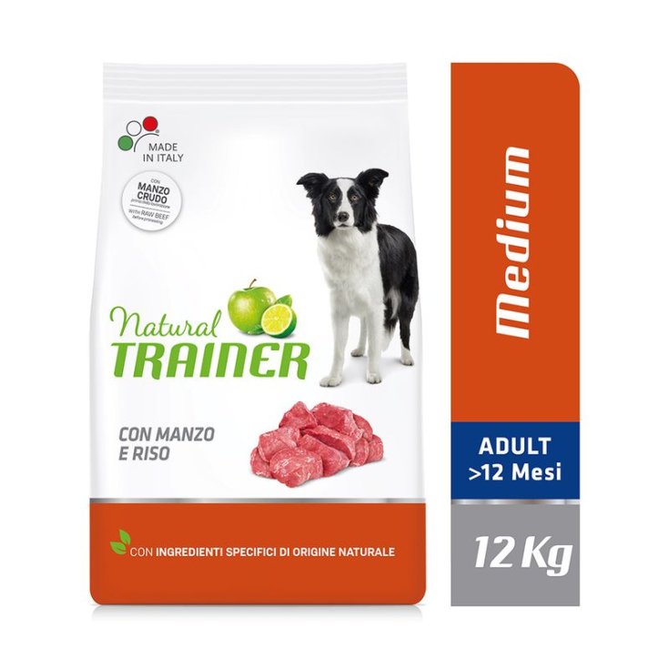 FORMATEUR NAT M/M ADULTE BOEUF/RI