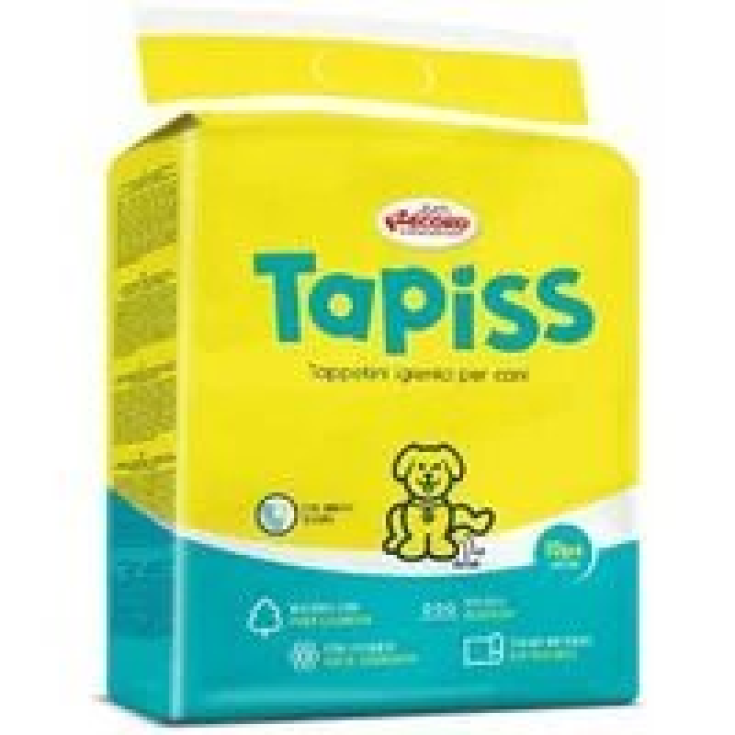 RECORD TAPISS 10 TAPIS ABSORBANTS 60