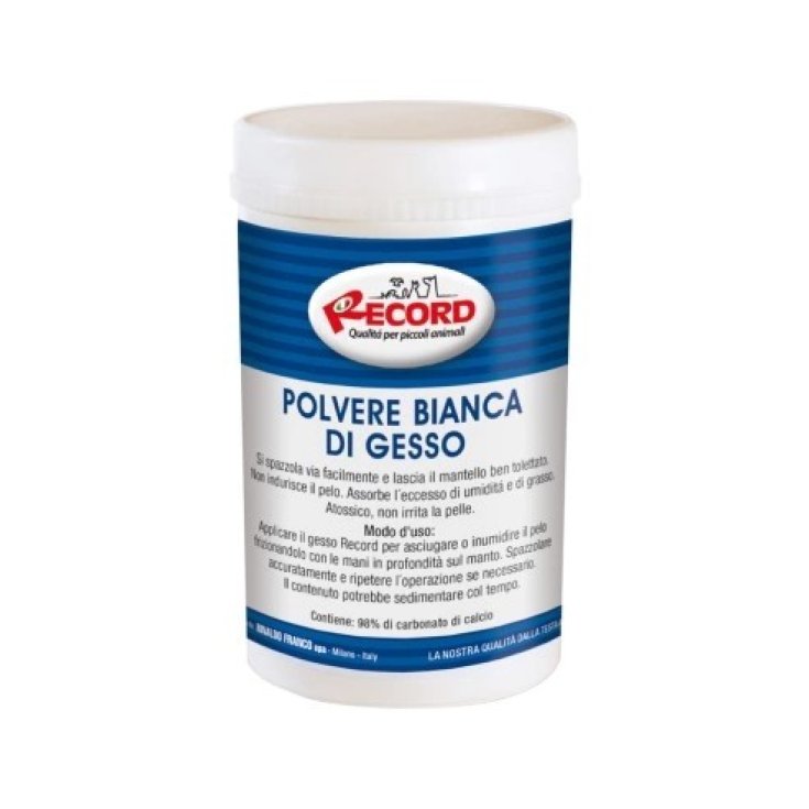 RECORD GESSO IN POLVERE 500 G