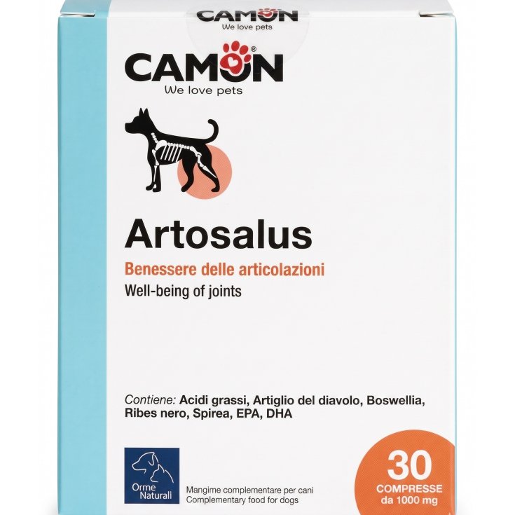 Artosalus Comprimés 30 Comprimés