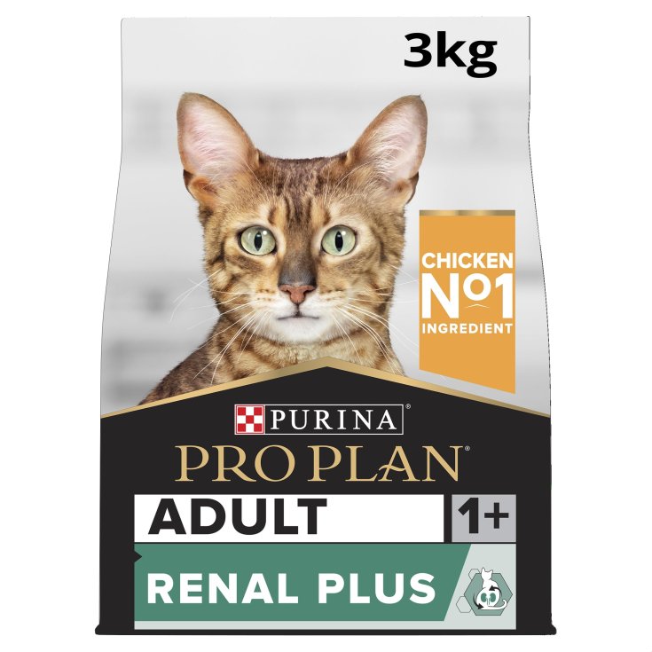 TP ADULTE CHAT RÉNAL OX CH1,2KG