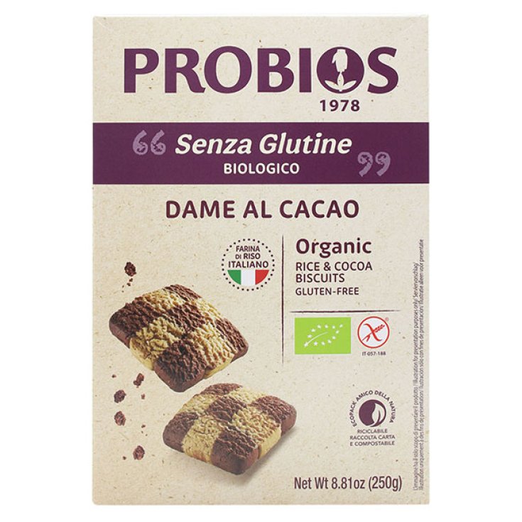 Rice & Rice Dame De Riz Au Cacao Probios 250g