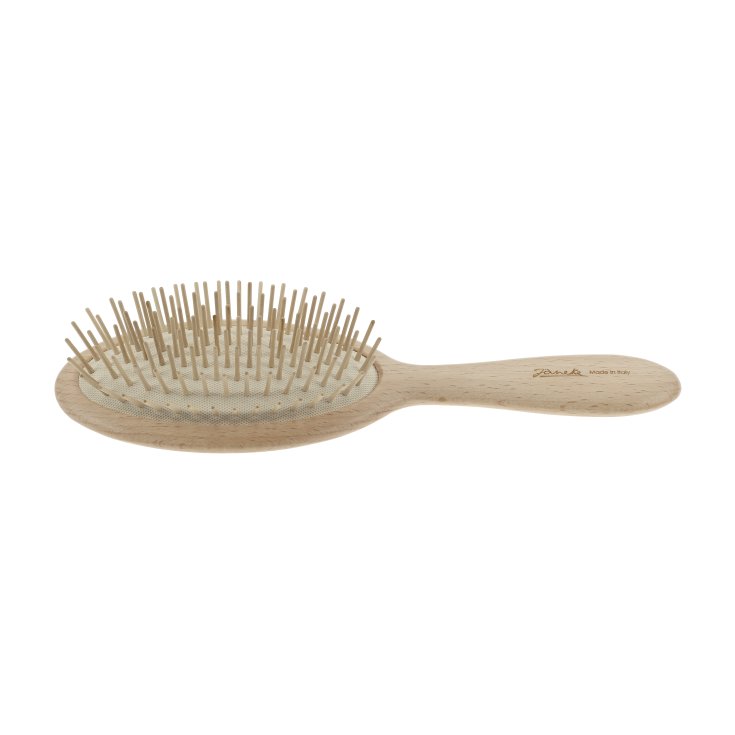GRANDE BROSSE OU BOIS DE HÊTRE