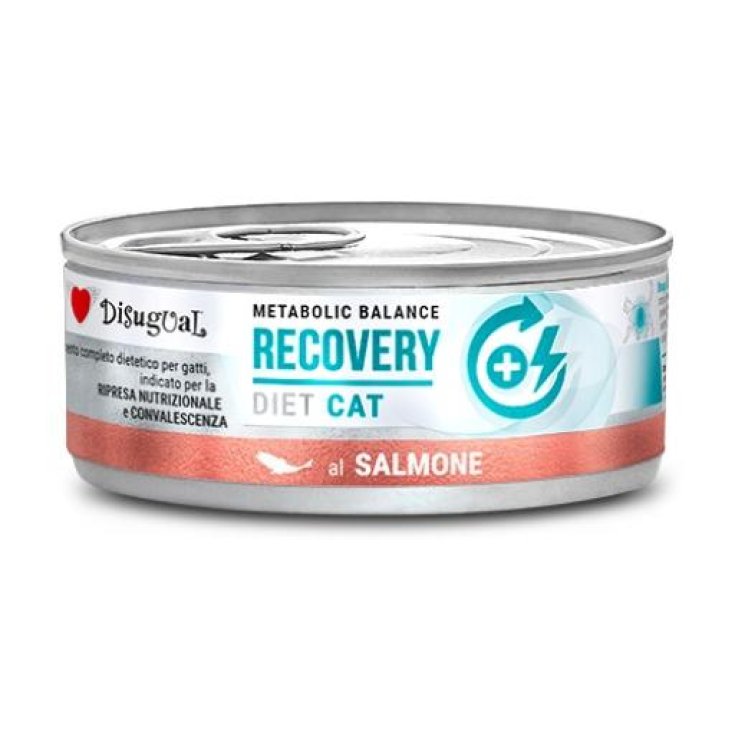 DISUGUAL CAT RÉCUPÉRATION SAUMON 85G