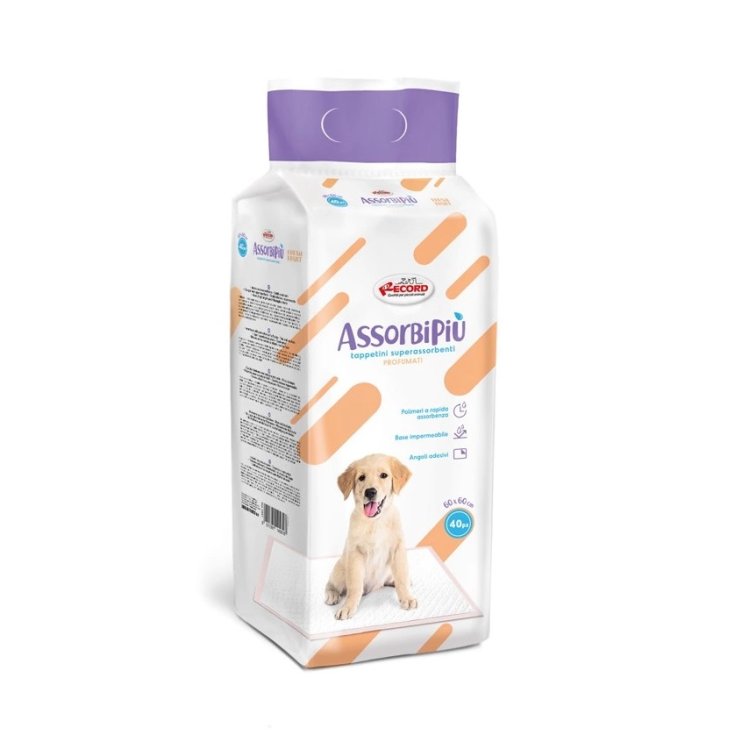 RECORD ABSORBIPIU 10 TAPIS 60X60 FRU