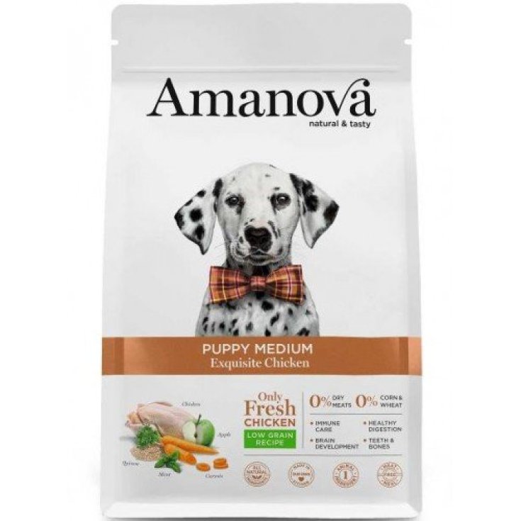 AMANOVA PUPPY POULET EXQUIS MOYEN