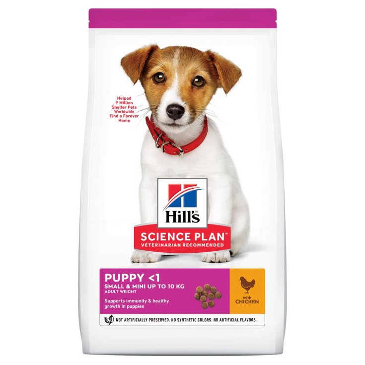 CHIOT CANIN BST PETIT&MIN 12X80GR