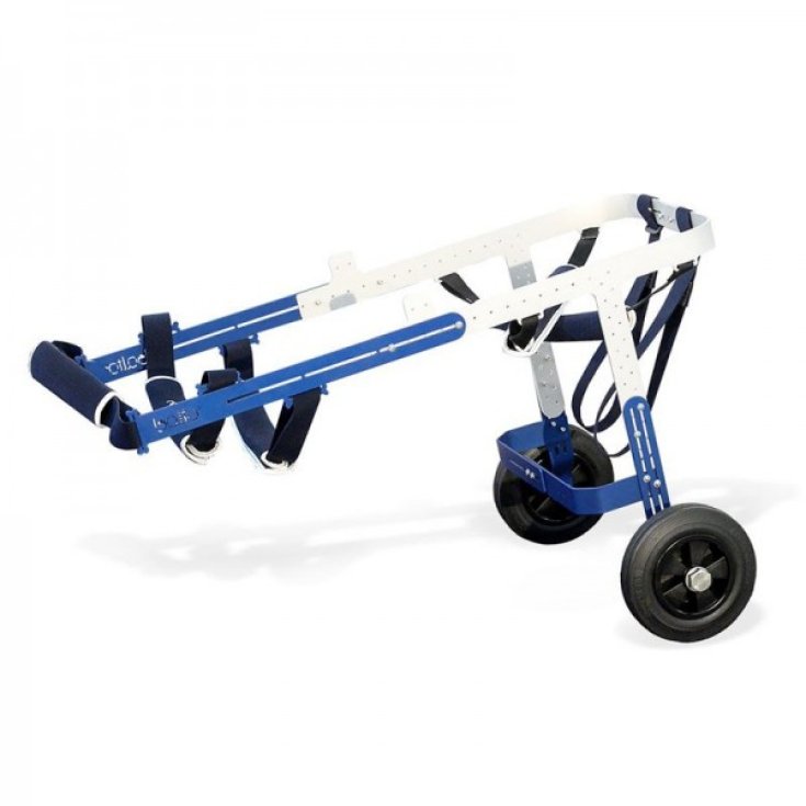 CHARIOT ORTOP TOUT-TERRAIN L