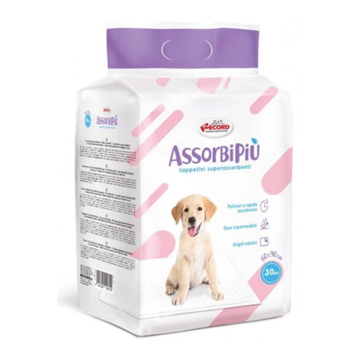 RECORD ABSORBIPIU 10 TAPIS 60X90 VOITURE