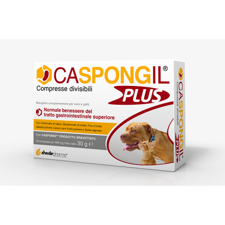 Caspongi®l ShedirPharma 30 Comprimés