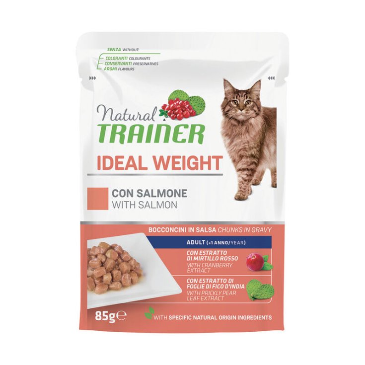 NT CAT SP. SAC DE SAUMON POIDS IDÉAL 85G