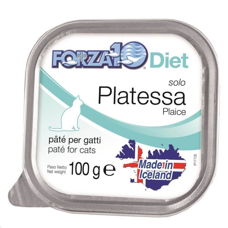 FORZA10 CHAT SEULEMENT D PLAQUE100G