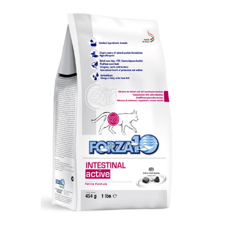 FORZA10 CHAT INTESTINAL 1,5KG