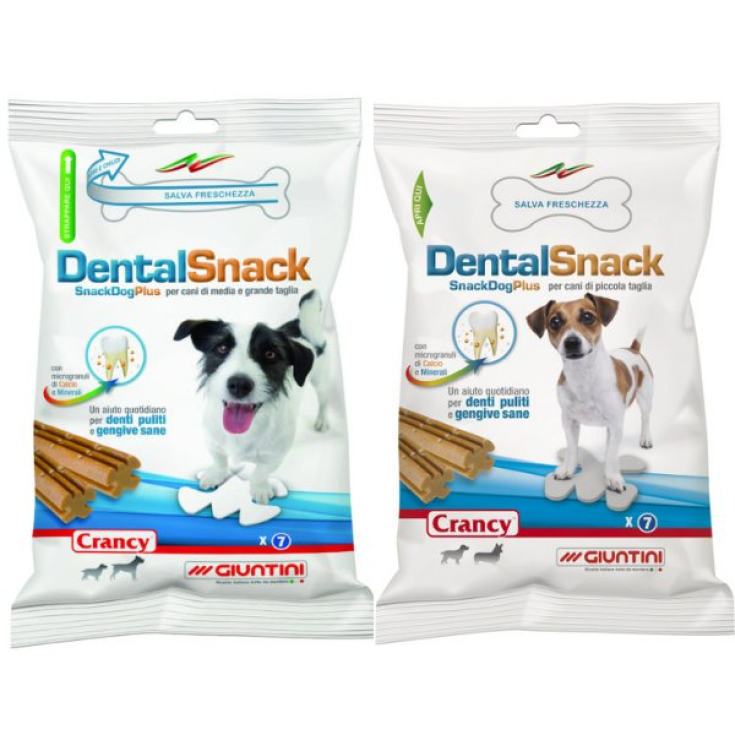 PRÉSENTOIR DENTAL SNACK SEA MIX45PCS