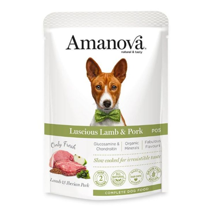AMANOVA WET DOG POCHE PORC IBÉRIQUE P04