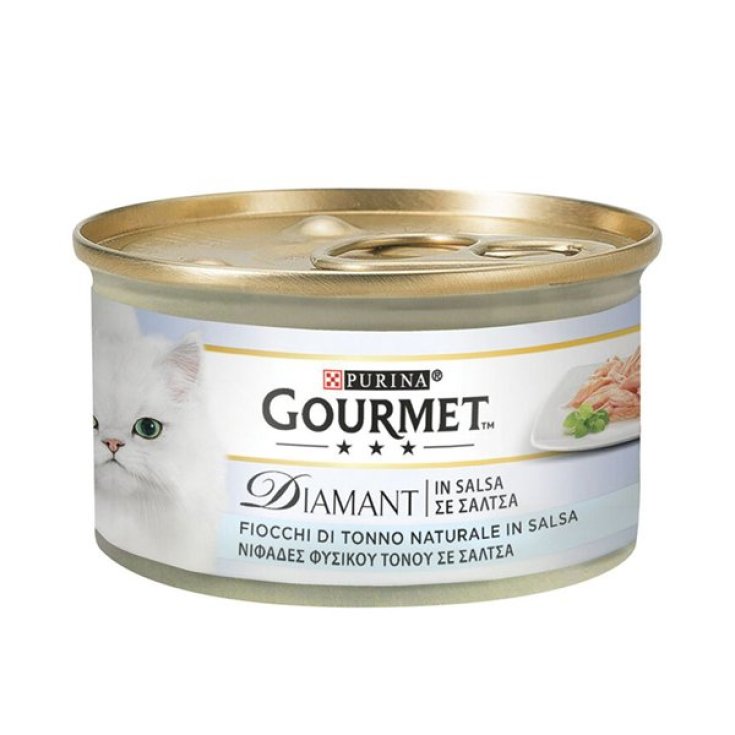 SOUPE GOURMANDE NC THON & VERT 40G