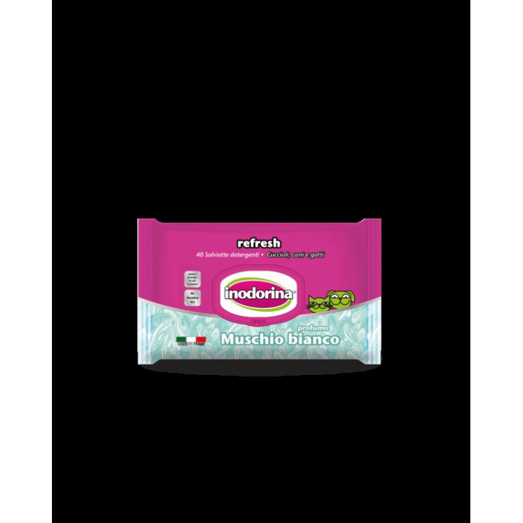 LINGETTES INODORINA REF MOUSSE 110PCS