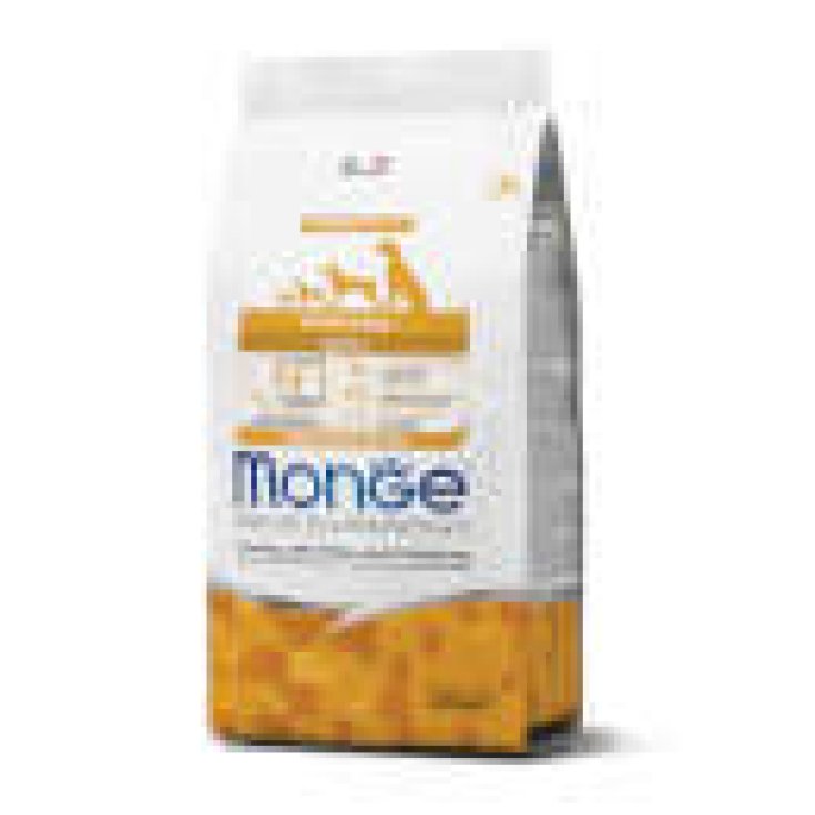 MONGE DINDE R&P 2,5KG