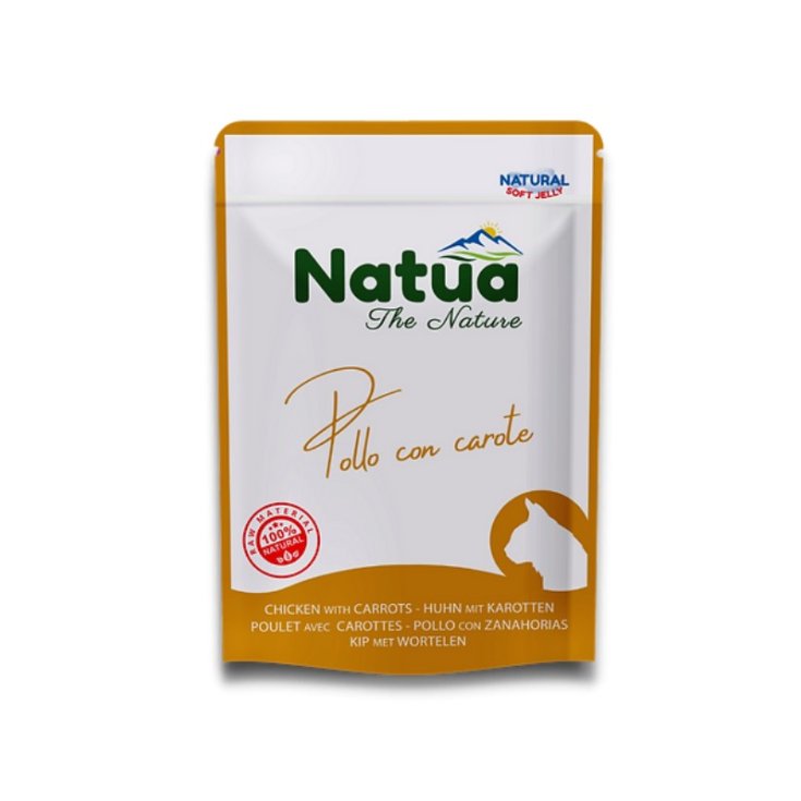 NATUA CAT BST POULET CAROTTES 70GR