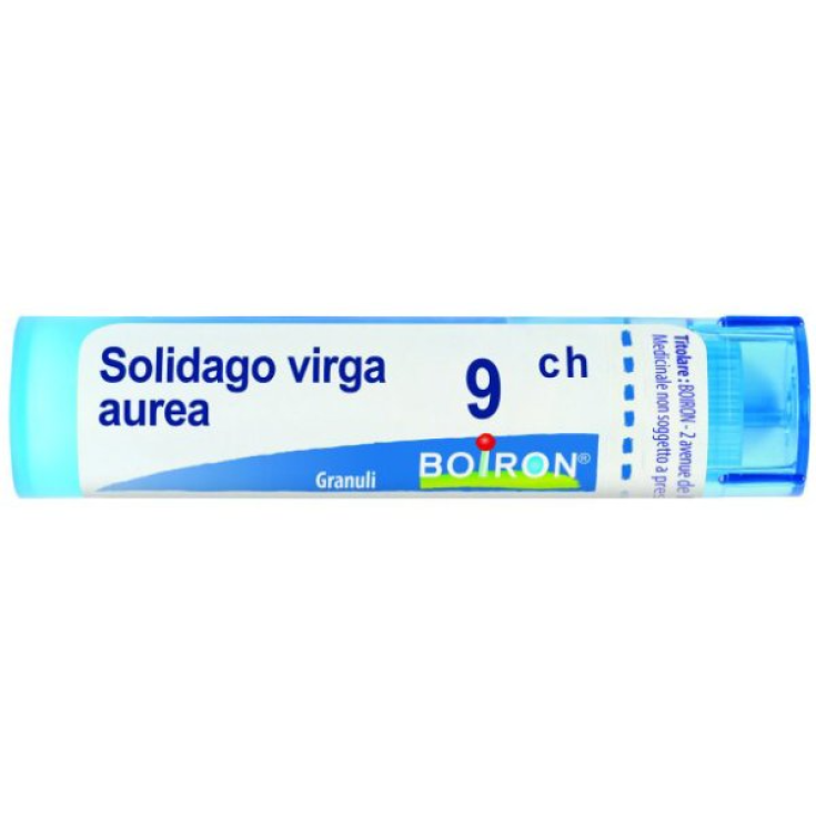 Boiron Solidago Virga Aurea 9ch Granules Remède Homéopathique