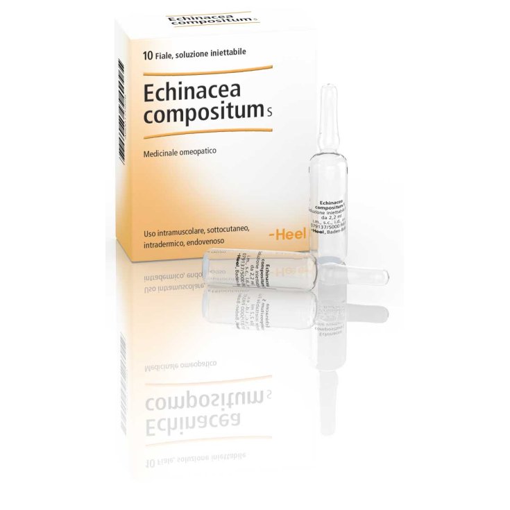Echinacea Compositum S Talon 10 Ampoules De 2,2 ml