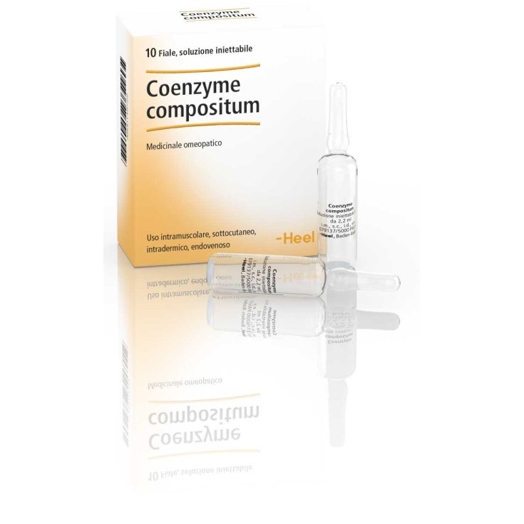 Coenzyme Compositum Talon 10 Ampoules De 2,2 ml