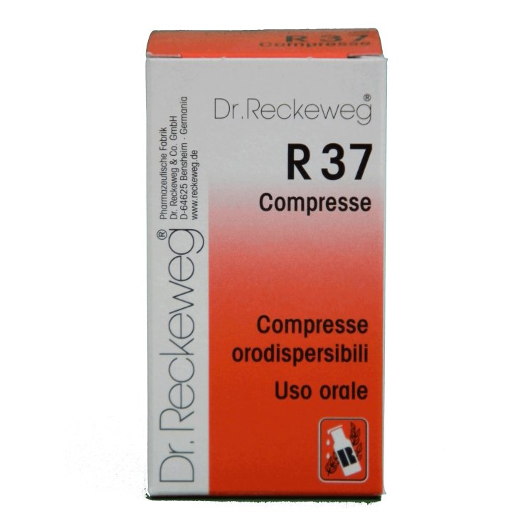 R37 Dr Reckeweg 100 Comprimés 0.1g