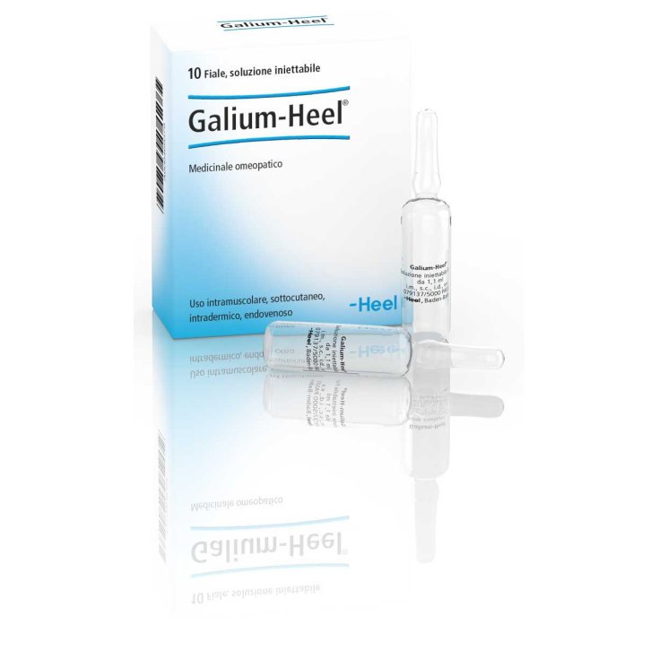 Galium-Talon 10 Ampoules De 1.1ml