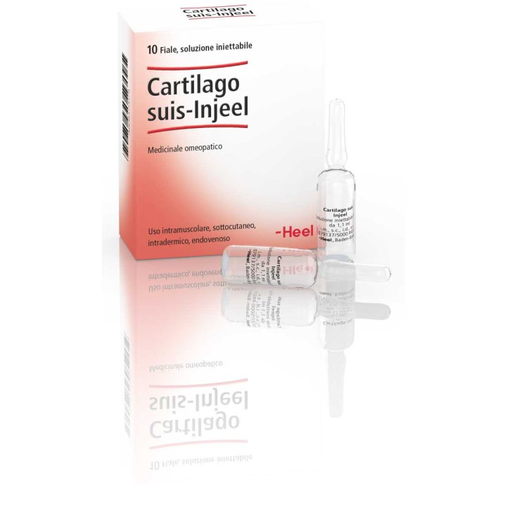 Cartilago Suis-Injeel Talon 10 Ampoules De 1,1 ml