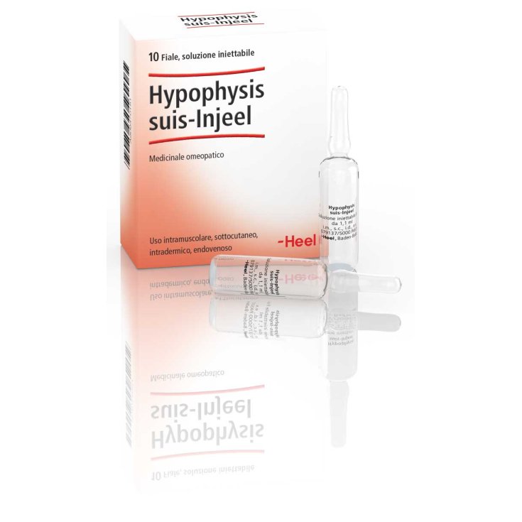 Hypophyse Suis-Injeel Talon 10 Ampoules De 1,1 ml