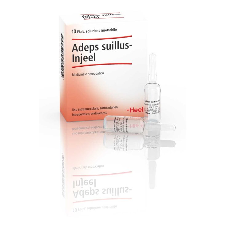 Adeps Suillus-Injees Talon 10 Ampoules De 1,1 ml