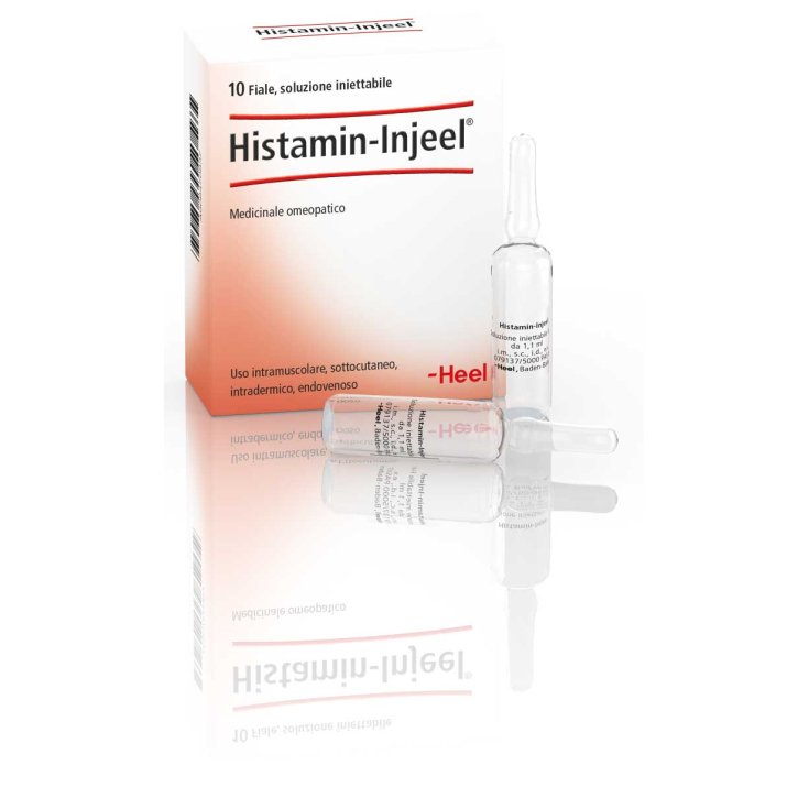 Histamin-Injeel Talon 10 Ampoules De 1,1 ml