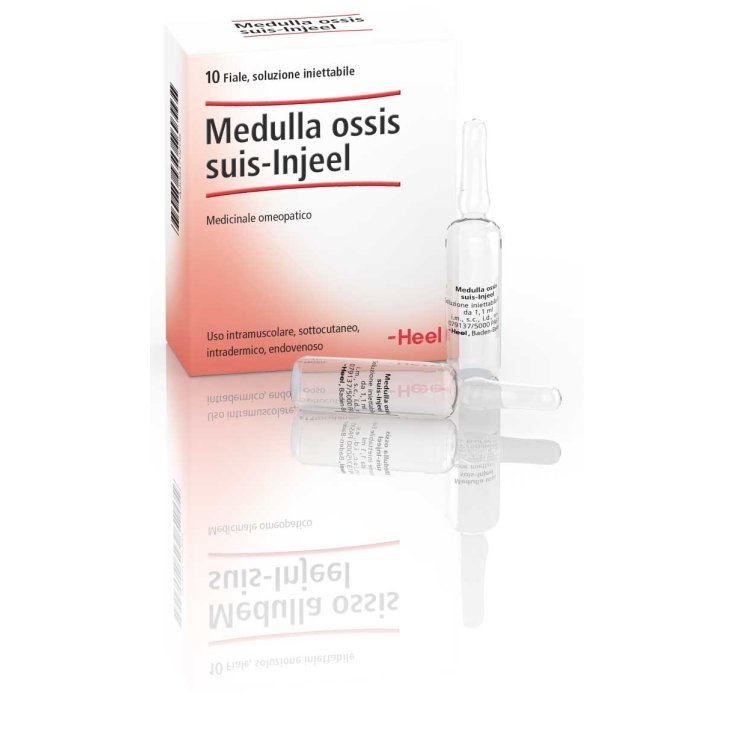 Medulla Ossis Suis-Injeel Talon 10 Ampoules De 1,1 ml